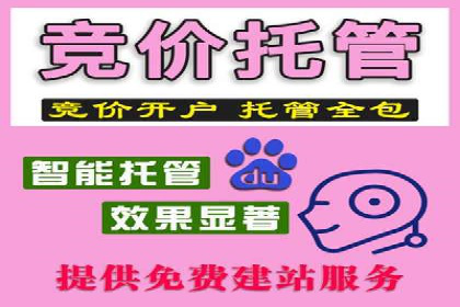 竞价托管成功案例：助力企业实现精准营销