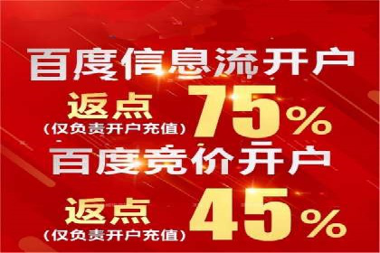 成功SEM代理案例：精准投放的策略