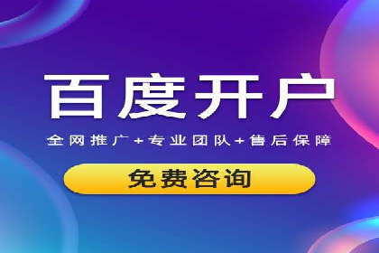SEM推广技巧：成功案例深度剖析